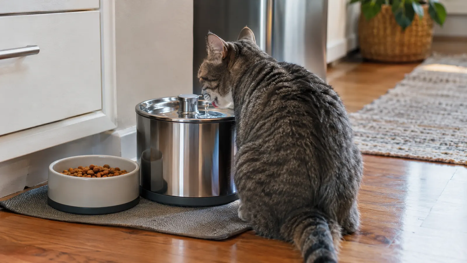 A stainless steel cat water fountain sitting on a mat on the kitchen floor beside a food bowl
